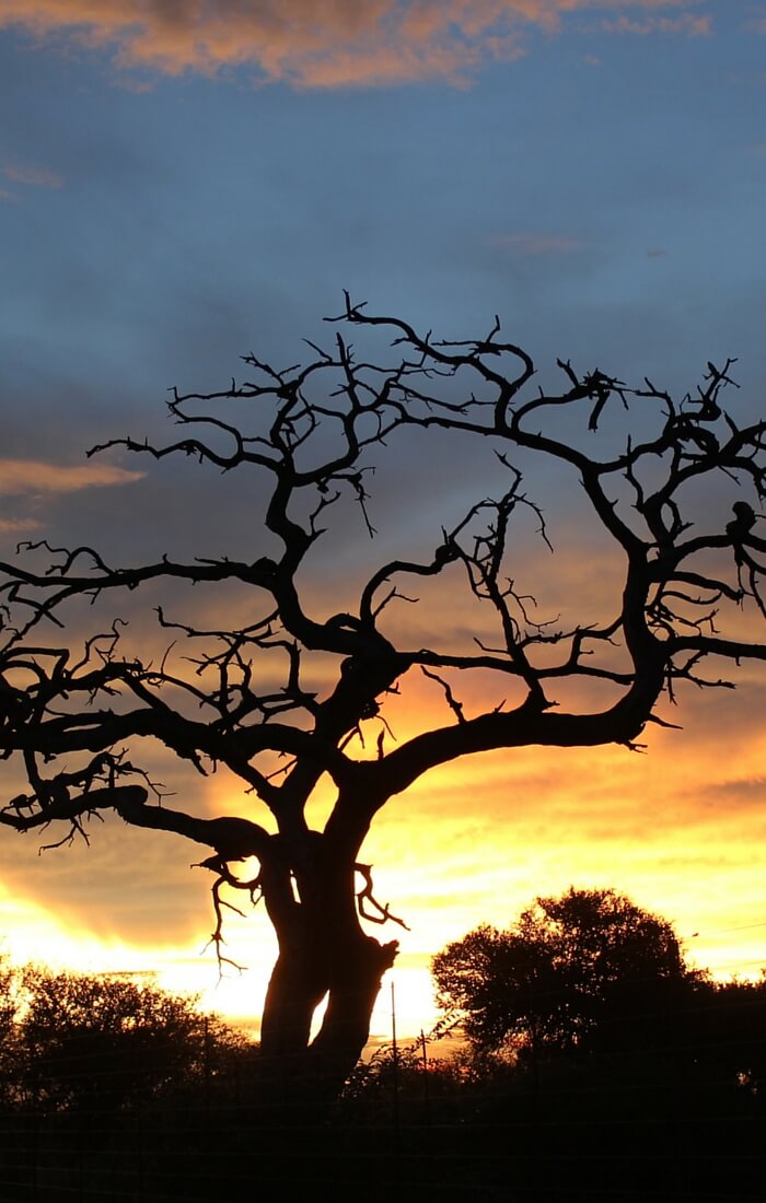 Dipitsi Lodge Facilities