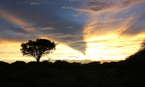 What to bring on Safari