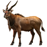 Eland